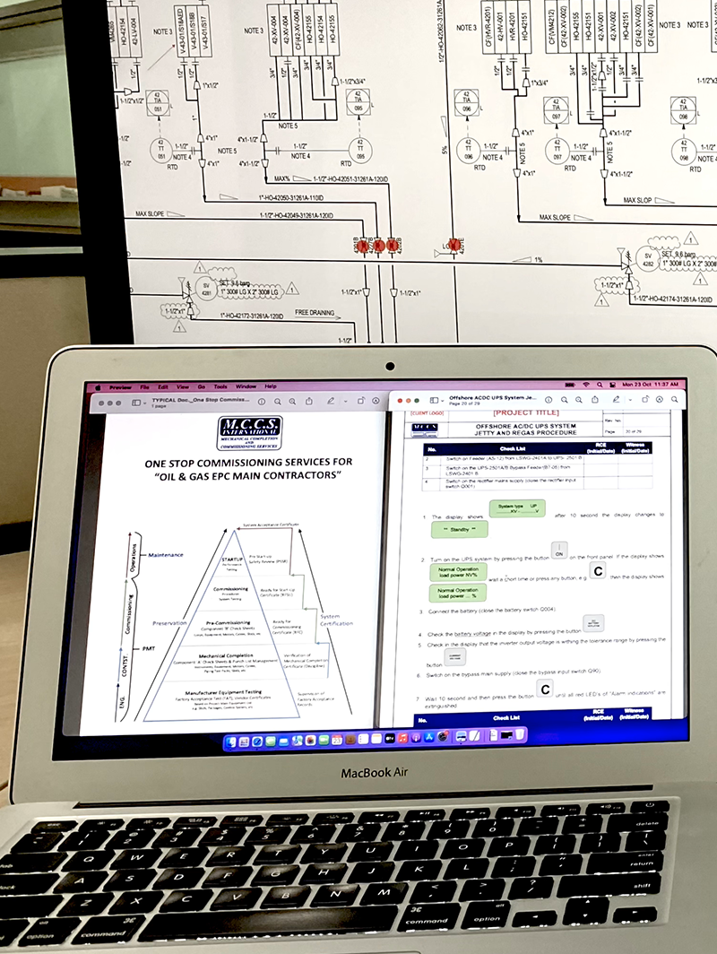 Puma Plus Software Solutions IN USE