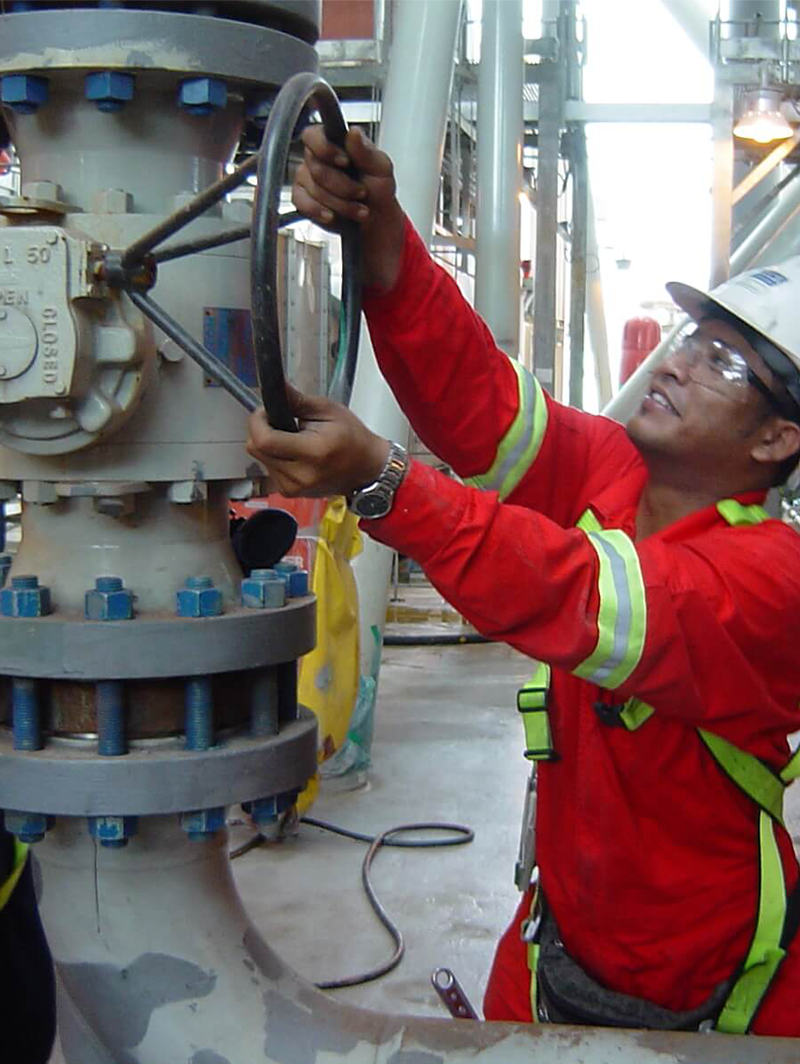 Commissioning, Puma Plus Software Solutions