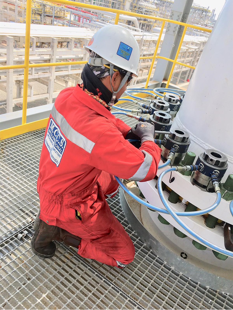 Flange Management, Puma Plus Software Solutions